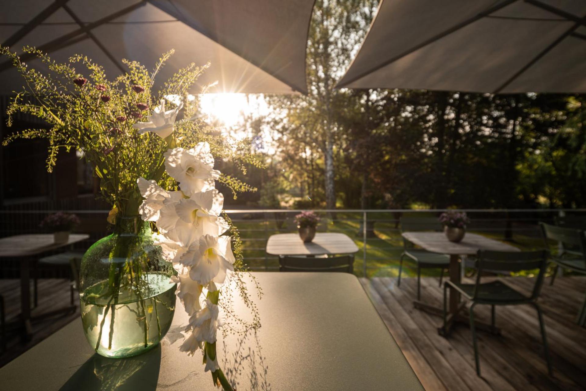 Hotel Sturm Bio- & Wellnesshotel In Der Rhoen Mellrichstadt Zewnętrze zdjęcie